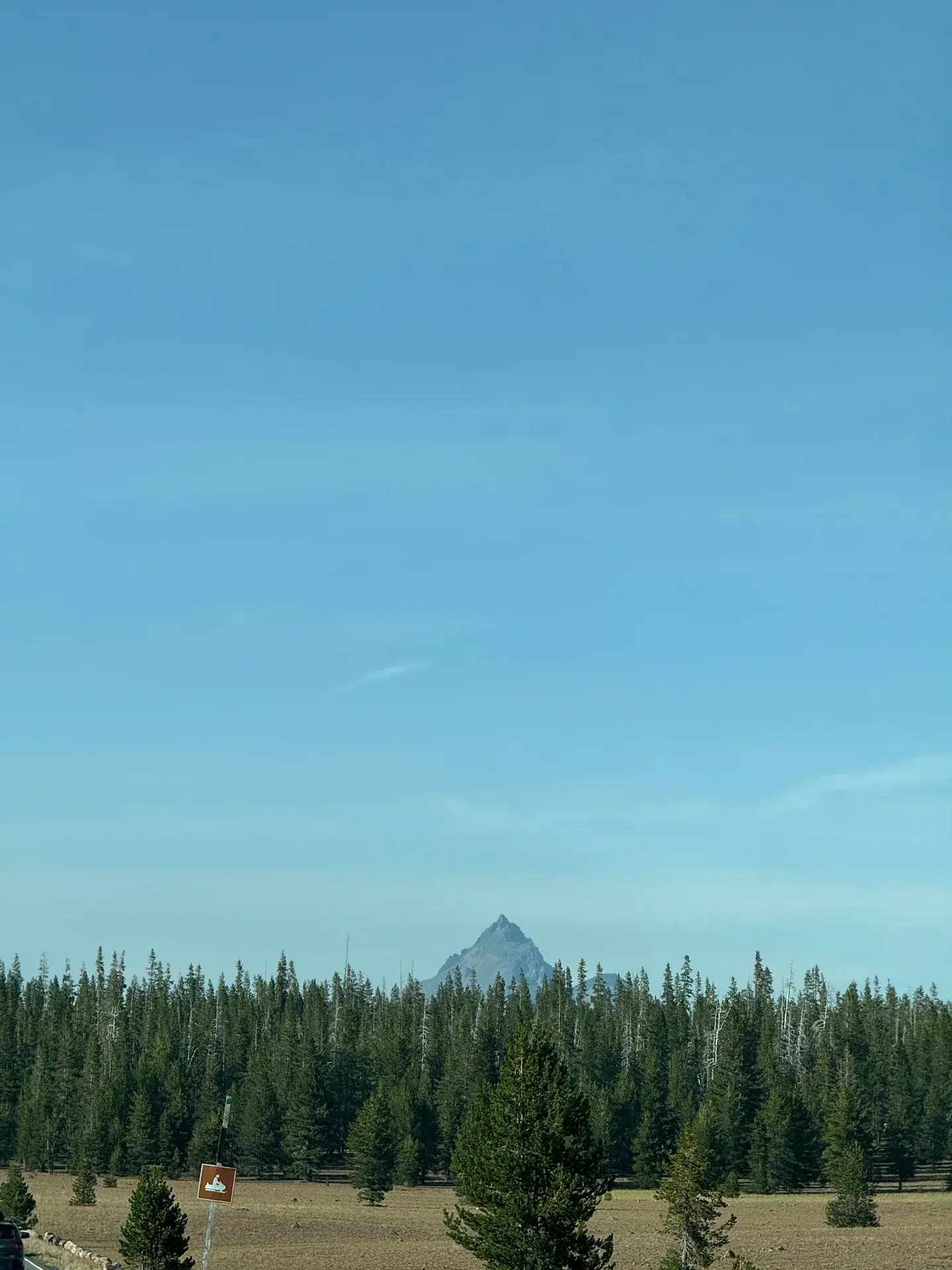 A mountain peak above an evergreen forest