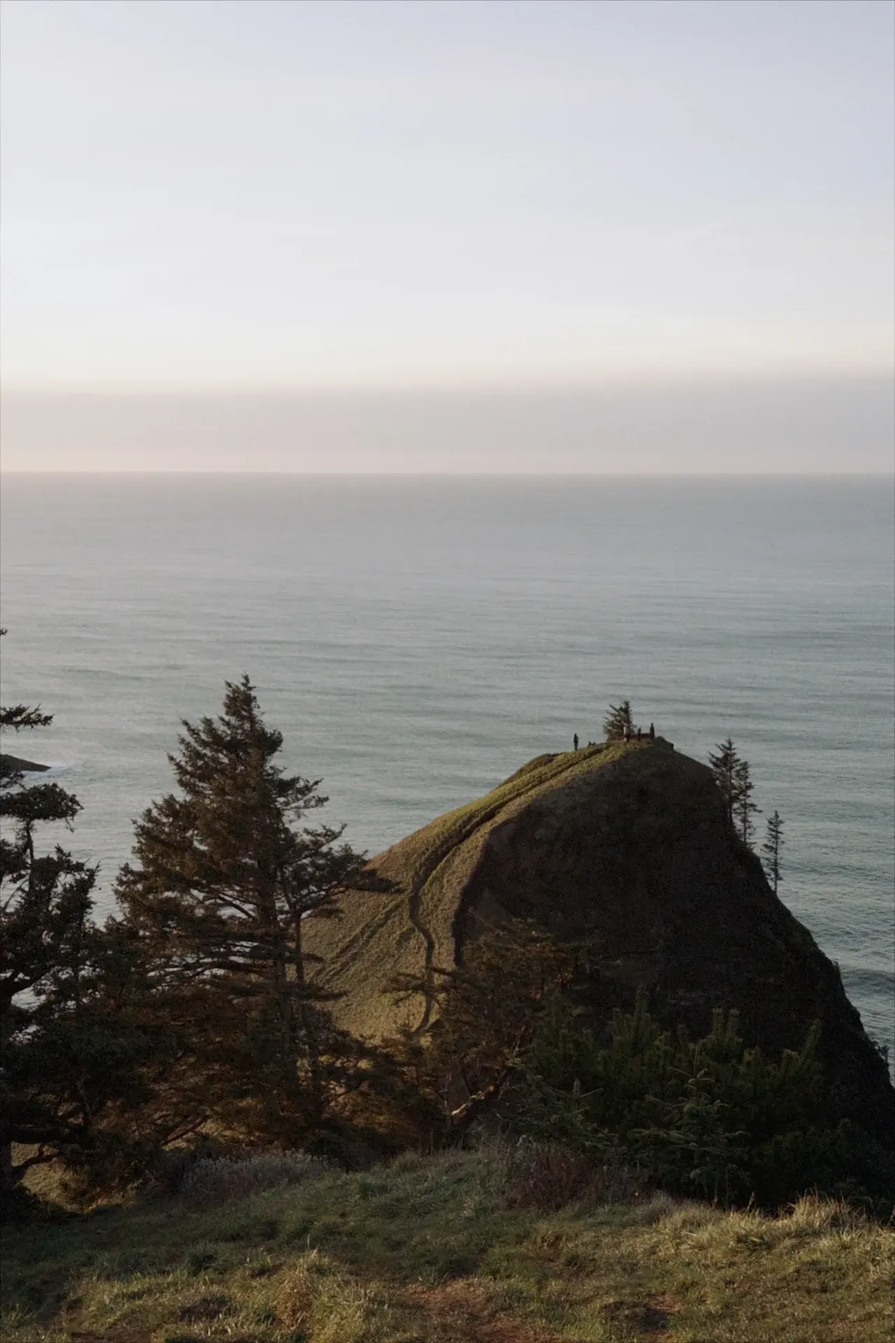 A grassy headland above the ocean