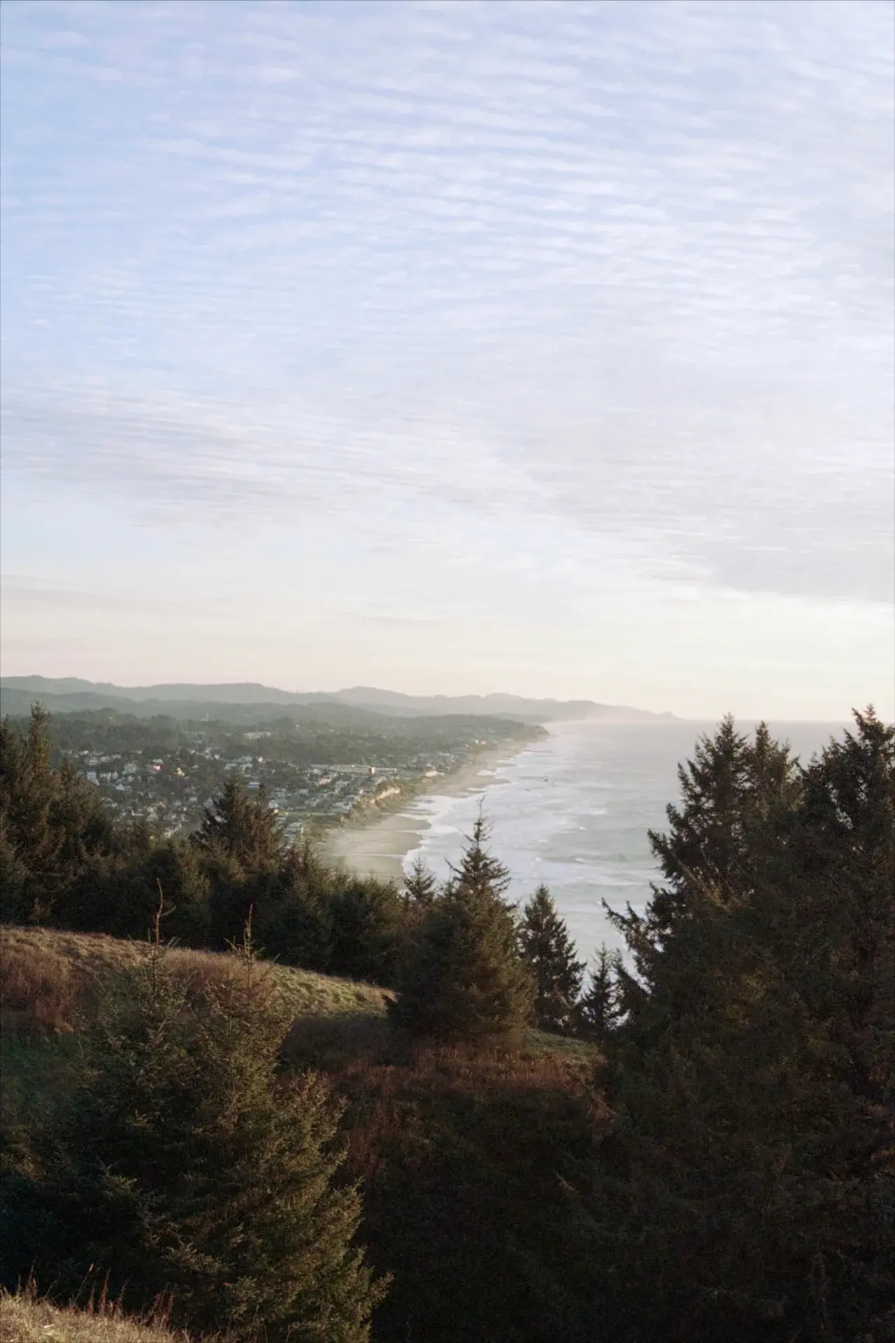A coastal town viewed from a hillside