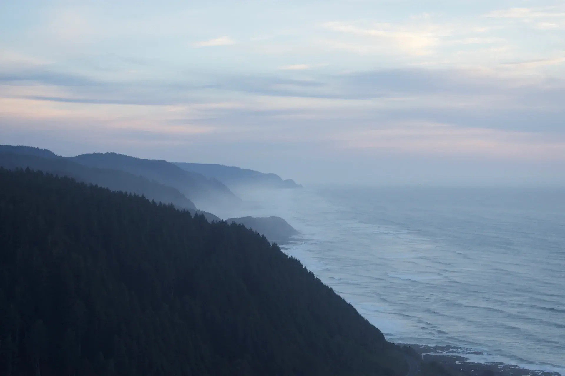 Forested coastal cliffs fading into the distance